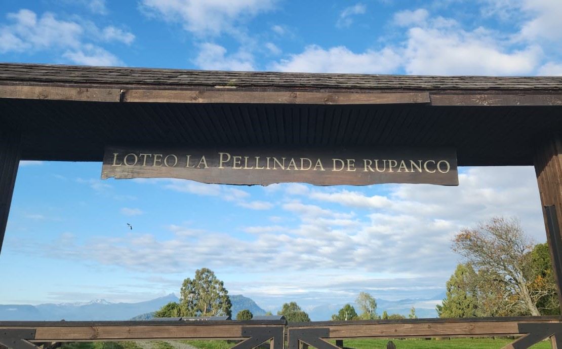 La pellinada de Rupanco
